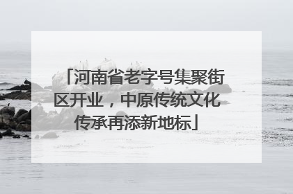 河南省老字号集聚街区开业，中原传统文化传承再添新地标