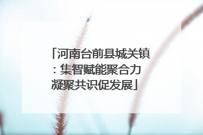 河南台前县城关镇：集智赋能聚合力 凝聚共识促发展