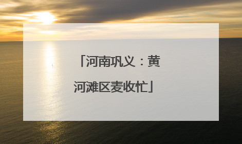 河南巩义：黄河滩区麦收忙
