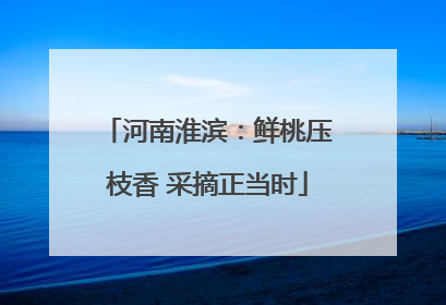 河南淮滨：鲜桃压枝香 采摘正当时