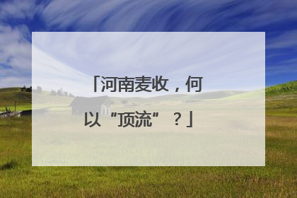 河南麦收，何以“顶流”？