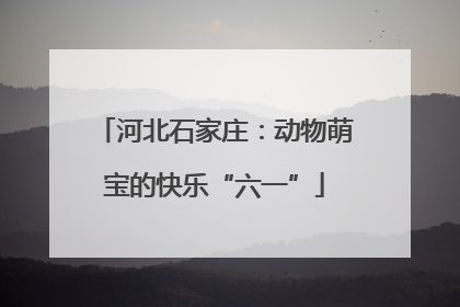 河北石家庄:动物萌宝的快乐“六一”