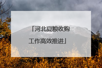 河北夏粮收购工作高效推进
