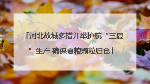 河北故城多措并举护航“三夏”生产 确保夏粮颗粒归仓
