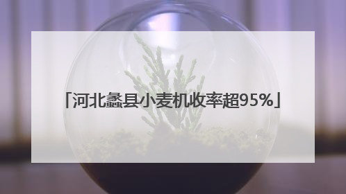 河北蠡县小麦机收率超95%