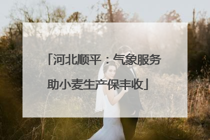河北顺平：气象服务助小麦生产保丰收