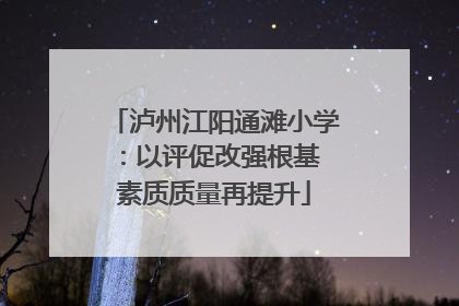 泸州江阳通滩小学：以评促改强根基 素质质量再提升