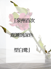 泉州首次观测到深色型白鹭