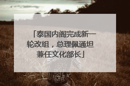泰国内阁完成新一轮改组，总理佩通坦兼任文化部长