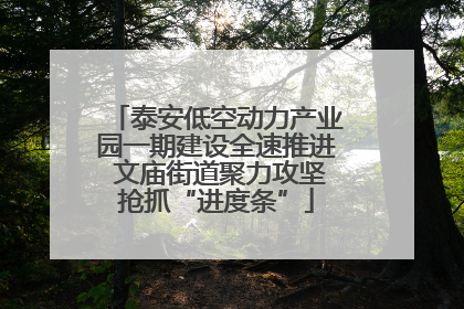 泰安低空动力产业园一期建设全速推进 文庙街道聚力攻坚抢抓“进度条”