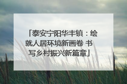 泰安宁阳华丰镇：绘就人居环境新画卷 书写乡村振兴新篇章