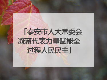 泰安市人大常委会凝聚代表力量赋能全过程人民民主