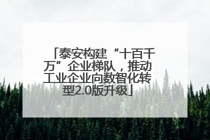 泰安构建“十百千万”企业梯队，推动工业企业向数智化转型2.0版升级