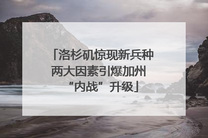 洛杉矶惊现新兵种 两大因素引爆加州“内战”升级
