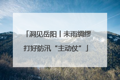 洞见岳阳丨未雨绸缪 打好防汛“主动仗”