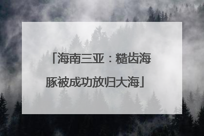 海南三亚：糙齿海豚被成功放归大海