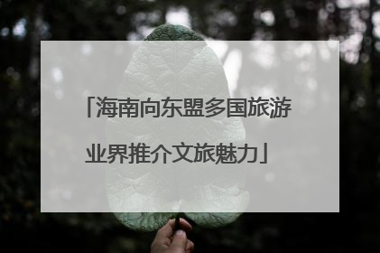 海南向东盟多国旅游业界推介文旅魅力