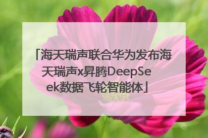 海天瑞声联合华为发布海天瑞声x昇腾DeepSeek数据飞轮智能体