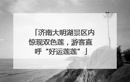 济南大明湖景区内惊现双色莲，游客直呼“好运莲莲”