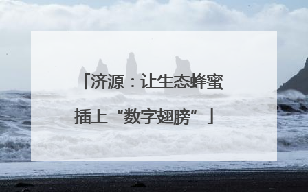 济源：让生态蜂蜜插上“数字翅膀”