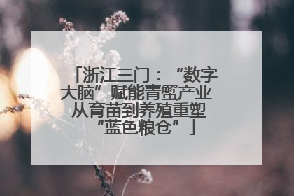 浙江三门：“数字大脑”赋能青蟹产业 从育苗到养殖重塑“蓝色粮仓”