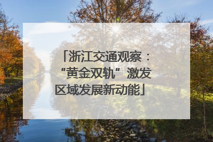 浙江交通观察：“黄金双轨”激发区域发展新动能