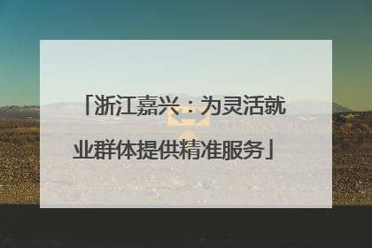 浙江嘉兴：为灵活就业群体提供精准服务