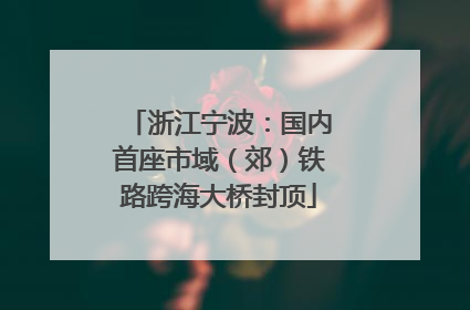 浙江宁波：国内首座市域（郊）铁路跨海大桥封顶