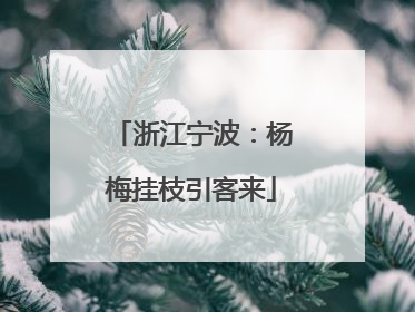 浙江宁波：杨梅挂枝引客来