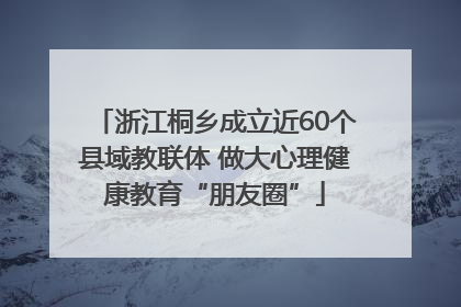 浙江桐乡成立近60个县域教联体 做大心理健康教育“朋友圈”