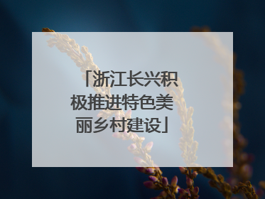 浙江长兴积极推进特色美丽乡村建设