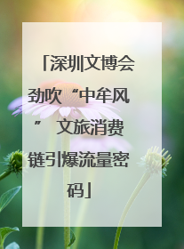 深圳文博会劲吹“中牟风” 文旅消费链引爆流量密码