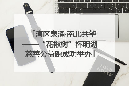 湾区泉涌·南北共擎——“花楸树”杯明湖慈善公益跑成功举办