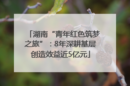 湖南“青年红色筑梦之旅”：8年深耕基层创造效益近5亿元