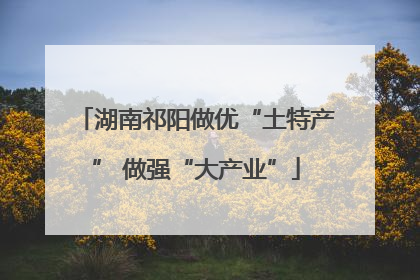 湖南祁阳做优“土特产” 做强“大产业”