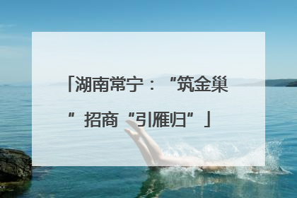 湖南常宁：“筑金巢”招商“引雁归”