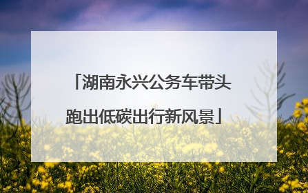 湖南永兴公务车带头跑出低碳出行新风景