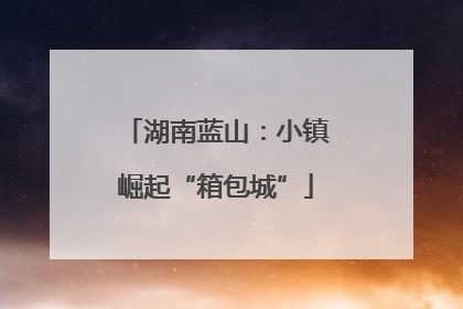湖南蓝山：小镇崛起“箱包城”
