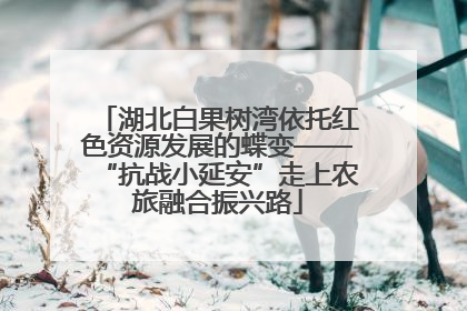 湖北白果树湾依托红色资源发展的蝶变——“抗战小延安”走上农旅融合振兴路