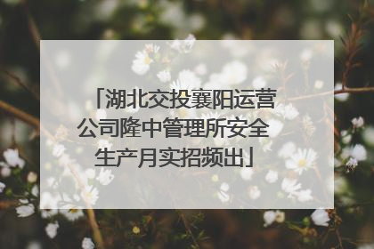 湖北交投襄阳运营公司隆中管理所安全生产月实招频出