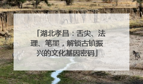 湖北孝昌：舌尖、法理、笔墨，解锁古镇振兴的文化基因密码