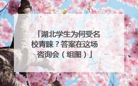 湖北学生为何受名校青睐？答案在这场咨询会（组图）