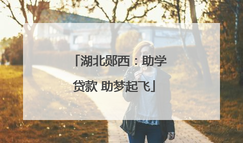 湖北郧西：助学贷款 助梦起飞