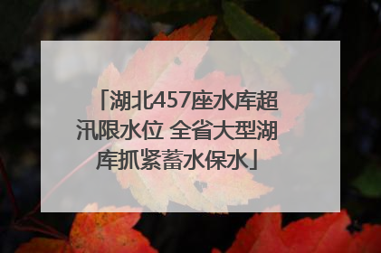 湖北457座水库超汛限水位 全省大型湖库抓紧蓄水保水