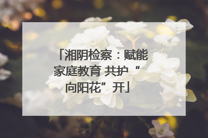 湘阴检察：赋能家庭教育 共护“向阳花”开
