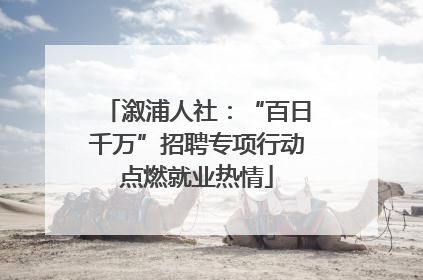 溆浦人社：“百日千万”招聘专项行动点燃就业热情