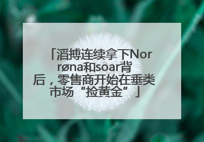 滔搏连续拿下Norrøna和soar背后，零售商开始在垂类市场“捡黄金”