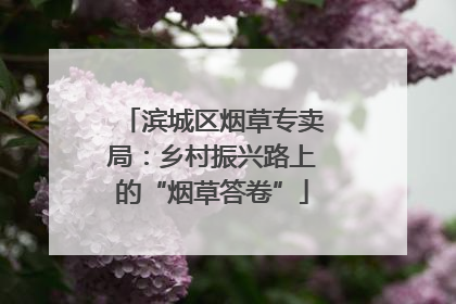 滨城区烟草专卖局：乡村振兴路上的“烟草答卷”