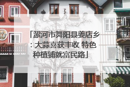 漯河市舞阳县姜店乡：大蒜喜获丰收 特色种植铺就富民路