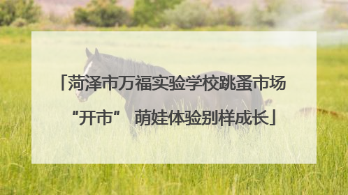 菏泽市万福实验学校跳蚤市场“开市” 萌娃体验别样成长